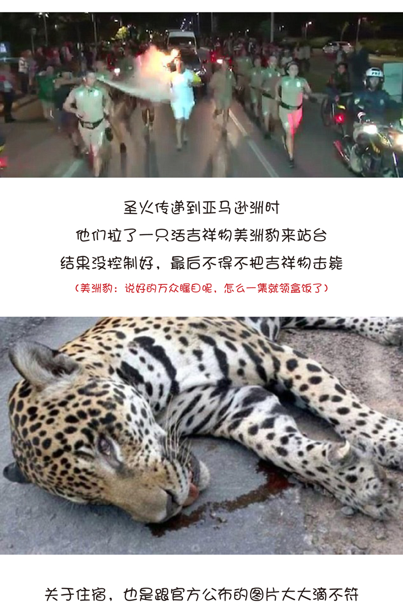 爱体育官方网站集成墙面