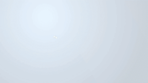 爱体育官方网站集成墙面.gif