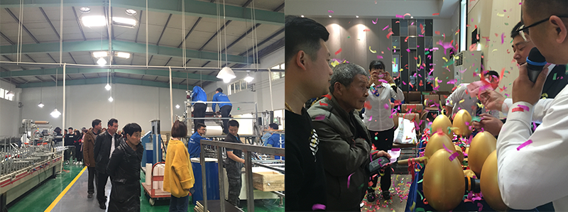 爱体育官方网站集成墙面.png