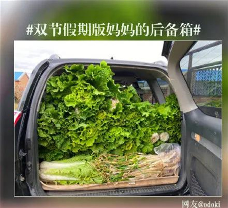 爱体育官方网站集成墙面