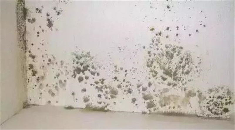 爱体育官方网站集成墙面
