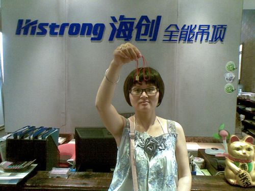 爱体育官方网站集成吊顶