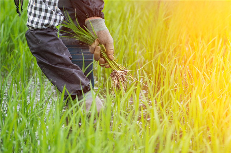 爱体育官方网站集成墙面